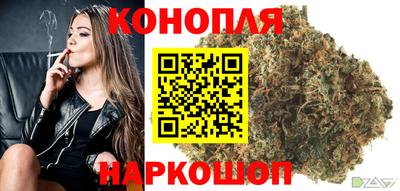 мет Гай