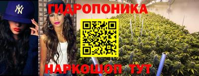 мет Гай