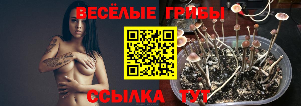 где можно купить   Псилоцибиновые грибы мухоморы  Вход с VPN  Советский 